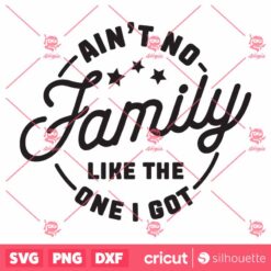 Aint No Family Like The One I Got SVG Family SVG