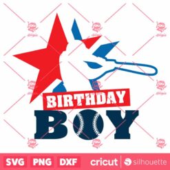 Baseball Birthday Boy SVG Baseball Boy SVG