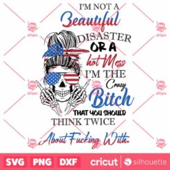 Im Not A Hot Mess Im A Spicy Disaster SVG Mom Life SVG