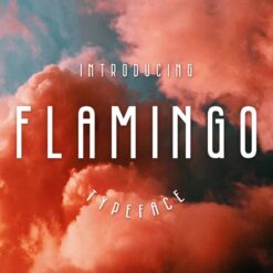 Flamingo Font