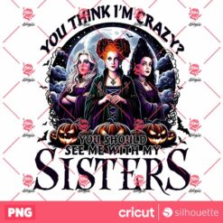 You Should See Me With My Sisters PNG, Halloween Bad Witches PNG, Retro Witches Movie PNG